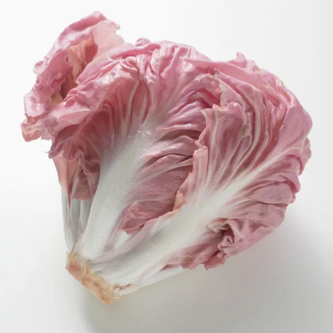 Radicchio salmonato 