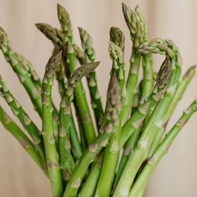 Asparagi