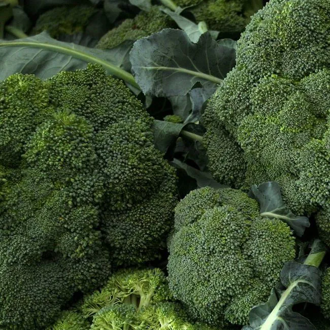 Cime di rapa