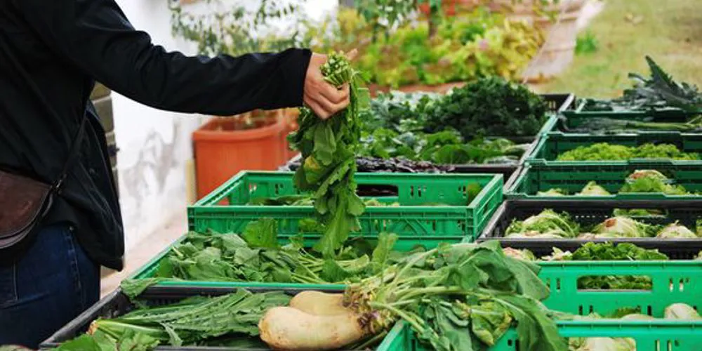 Mercato settimanale di San Giovanni Lupatoto