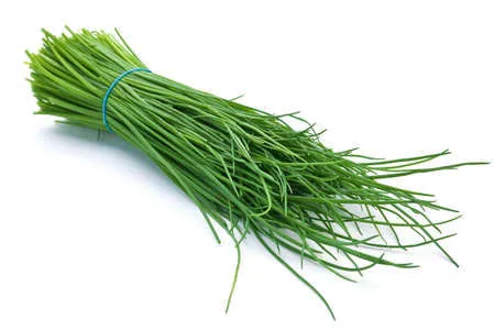 Immagine - Erba aglina