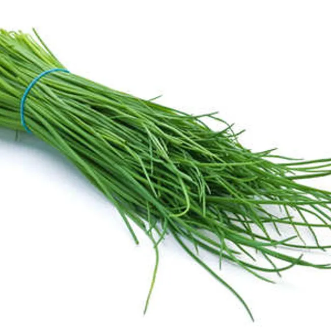 Erba aglina