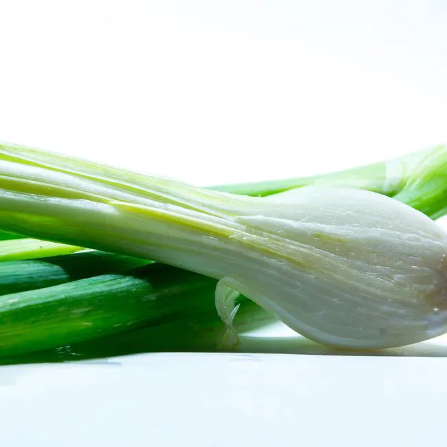 Cipollotti 