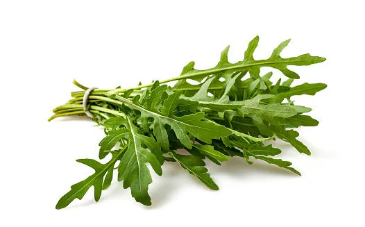 Immagine - Rucola