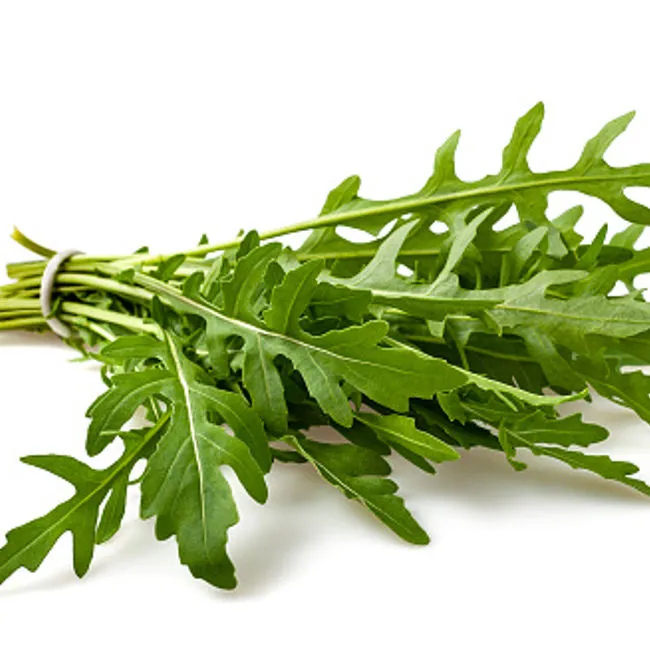 Rucola