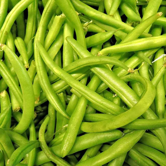 Fagiolini