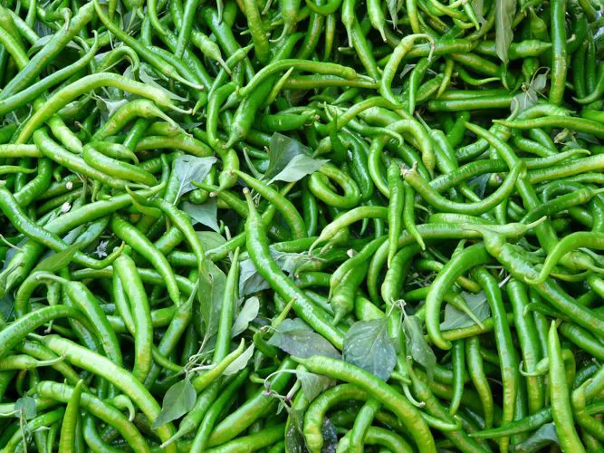 Immagine - Peperoni sigaretta