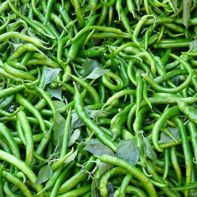 Peperoni sigaretta