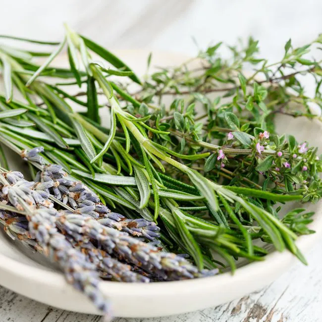 Erbe aromatiche
