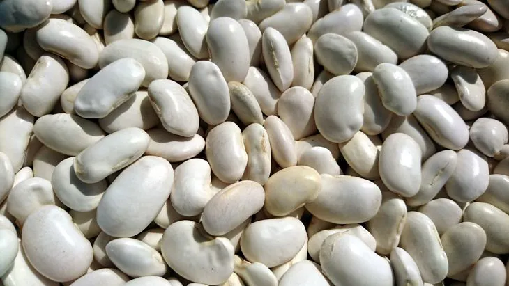 Immagine - Fagioli