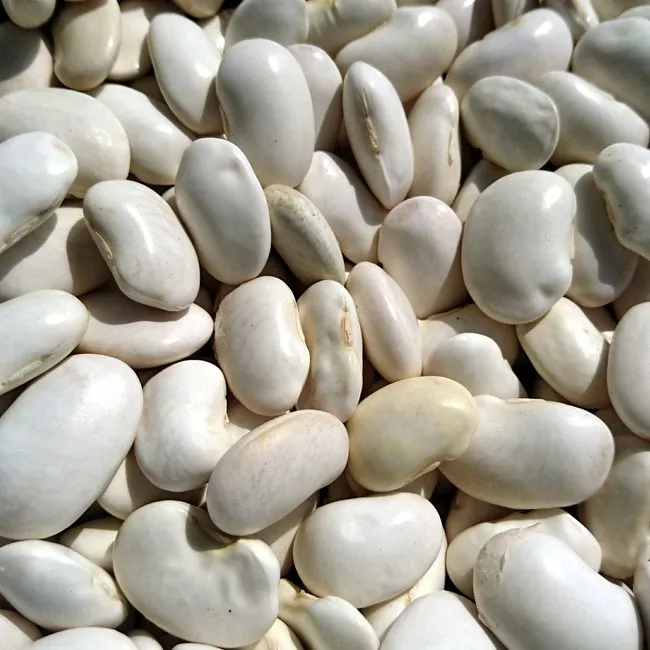 Fagioli