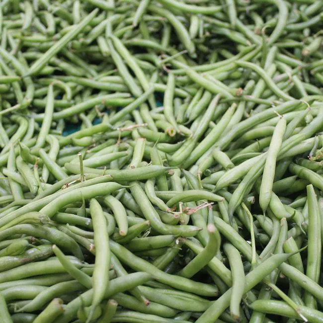 Fagiolini