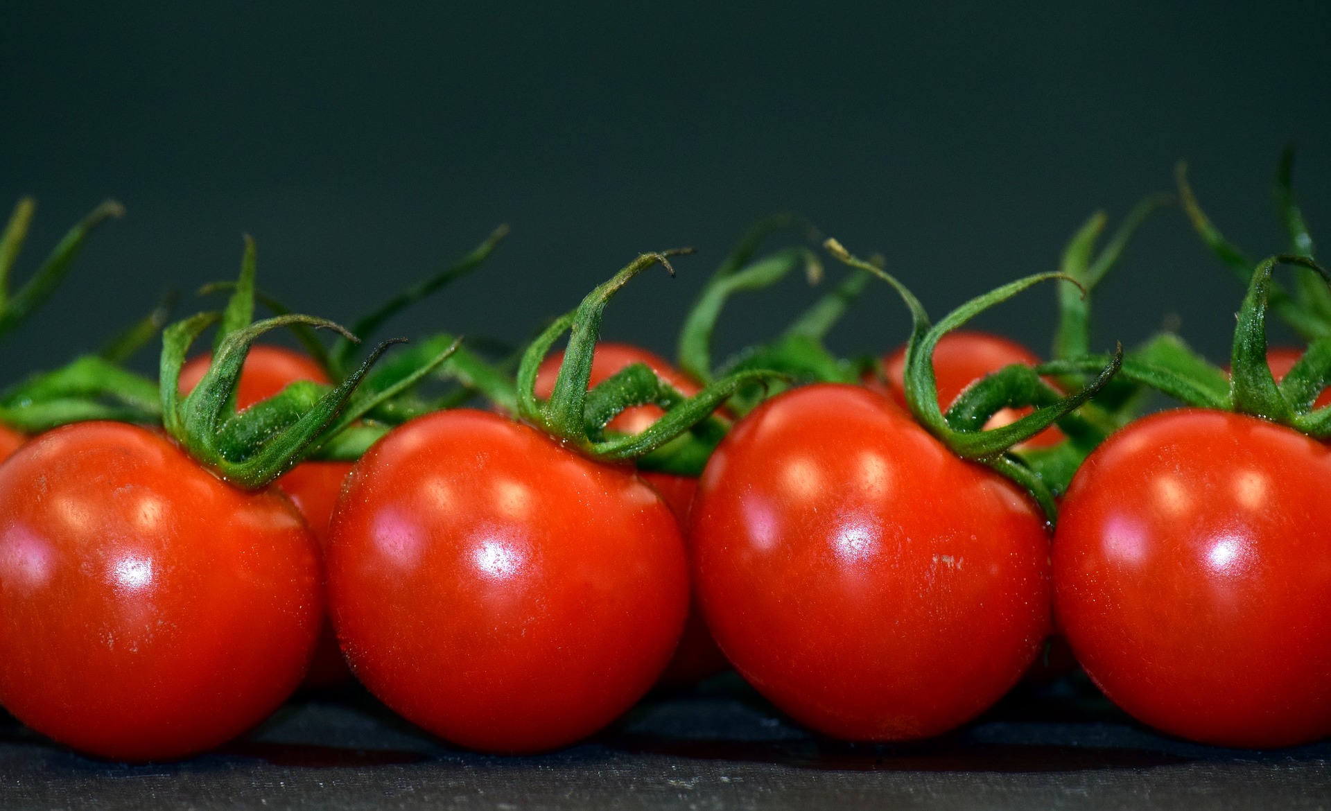 Immagine - Pomodoro tondo