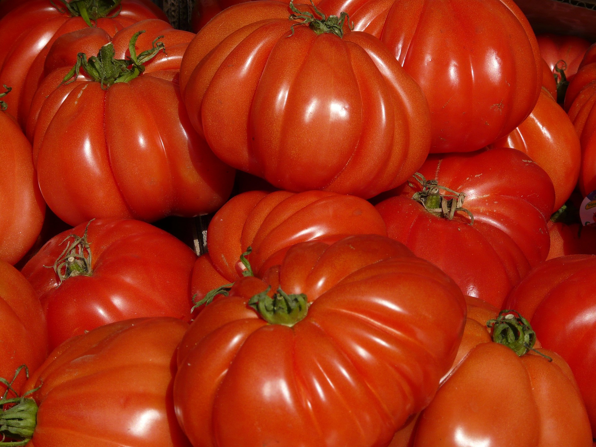 Immagine - Pomodoro cuor di bue