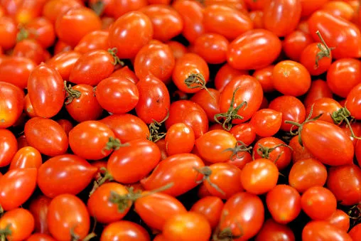 Immagine - Pomodoro datterino