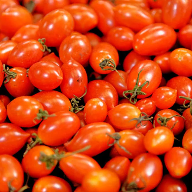 Pomodoro datterino