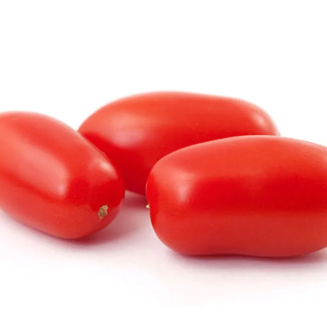 Pomodoro peretto da salsa