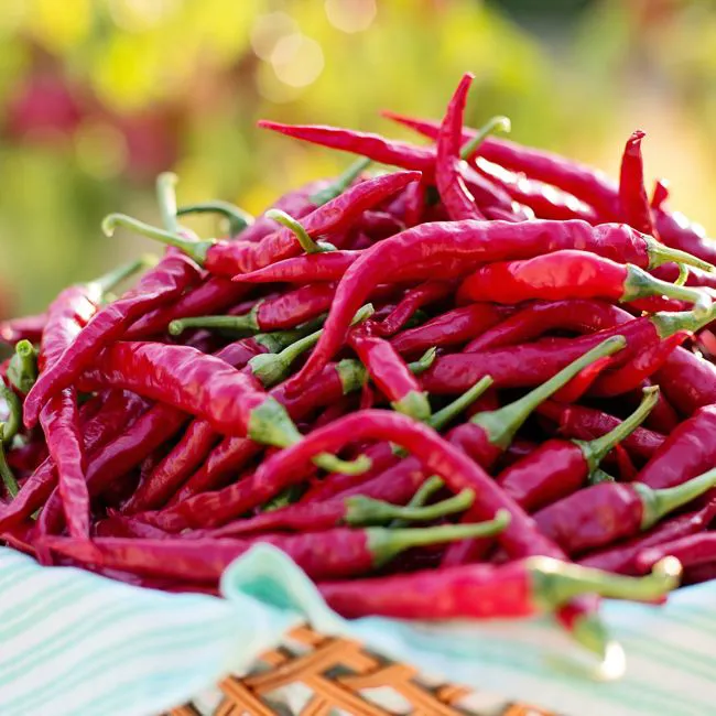 Peperoni piccanti