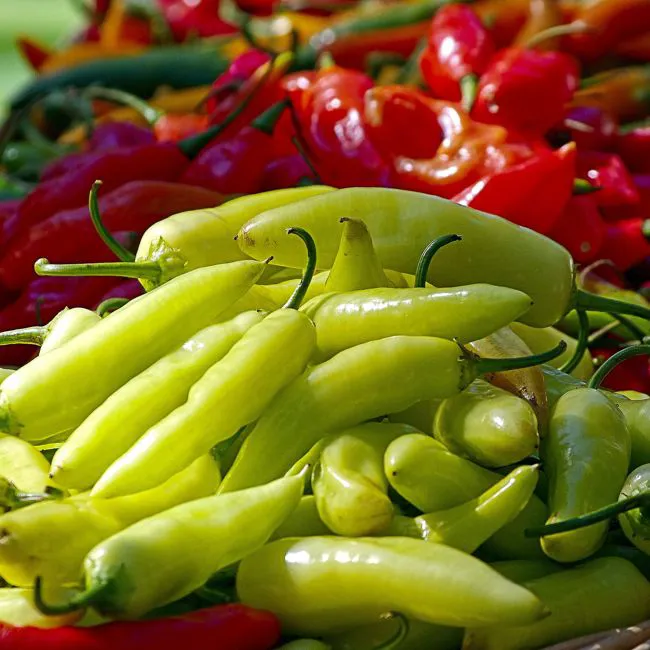 Peperoni sigaretta
